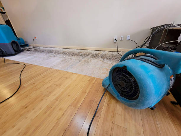 Professional Flood Damage Cleanup technician working in River Forest, IL